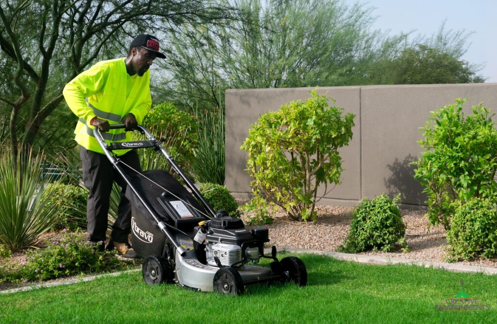 Creative Environments Maintenance Services - Commercial Landscape Maintenance with real grass and organized planting.