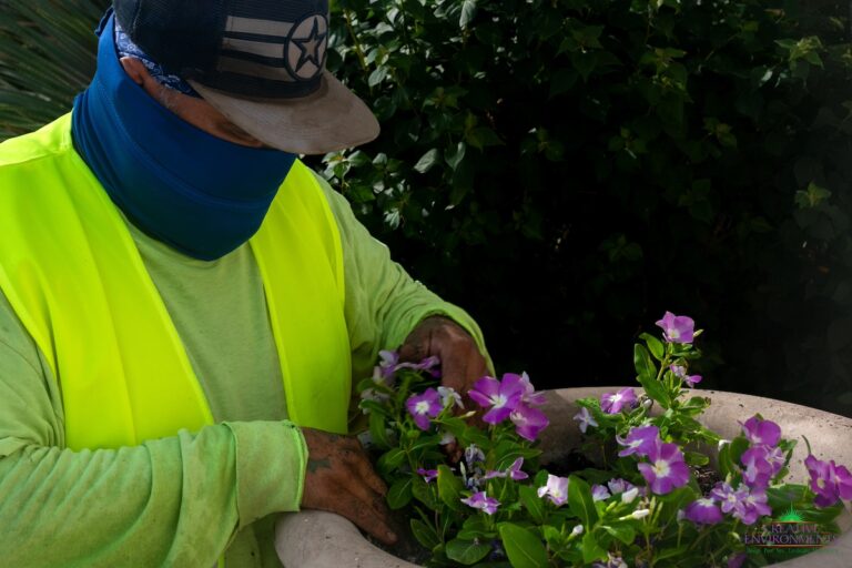 Creative Environments Maintenance Services - Commercial Landscape Maintenance with purple flowers being planted into a large pot.